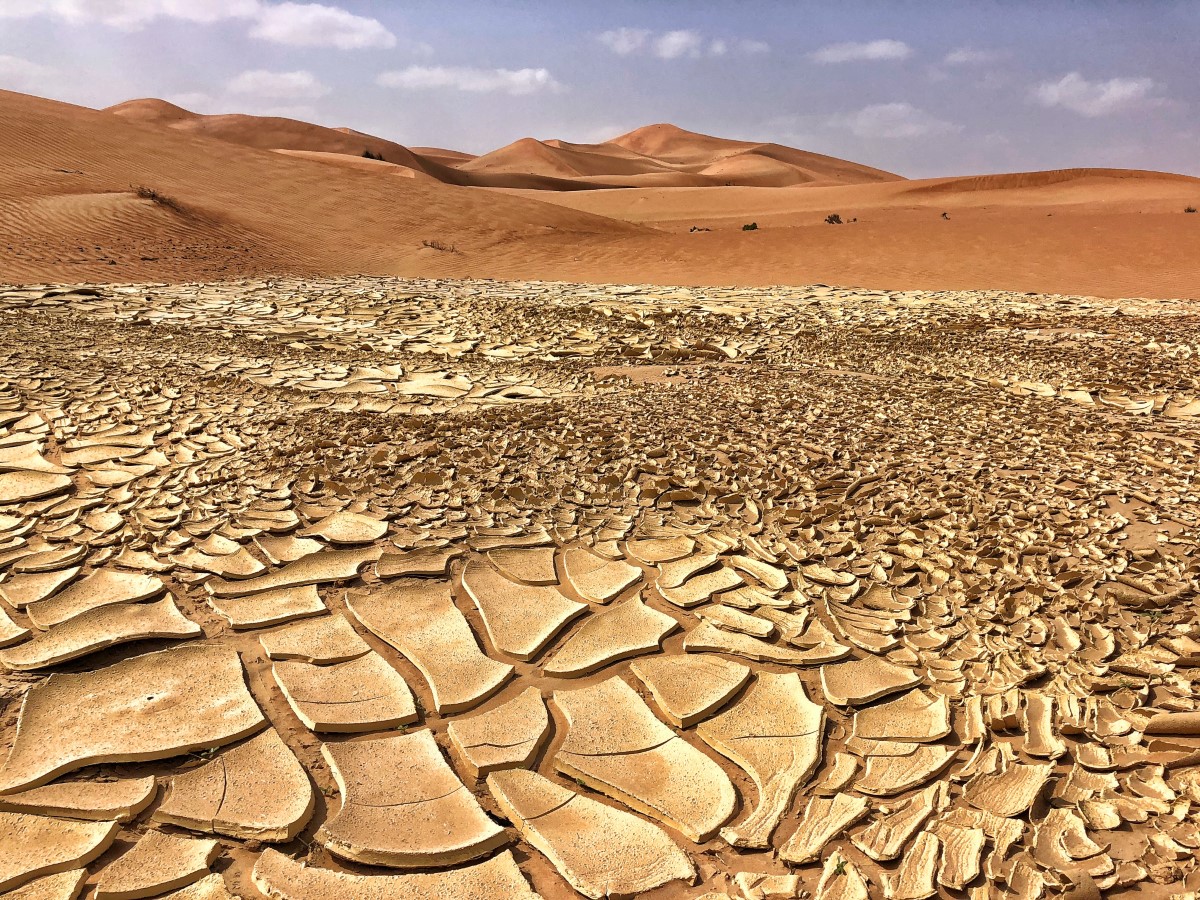 Effets du changement climatique